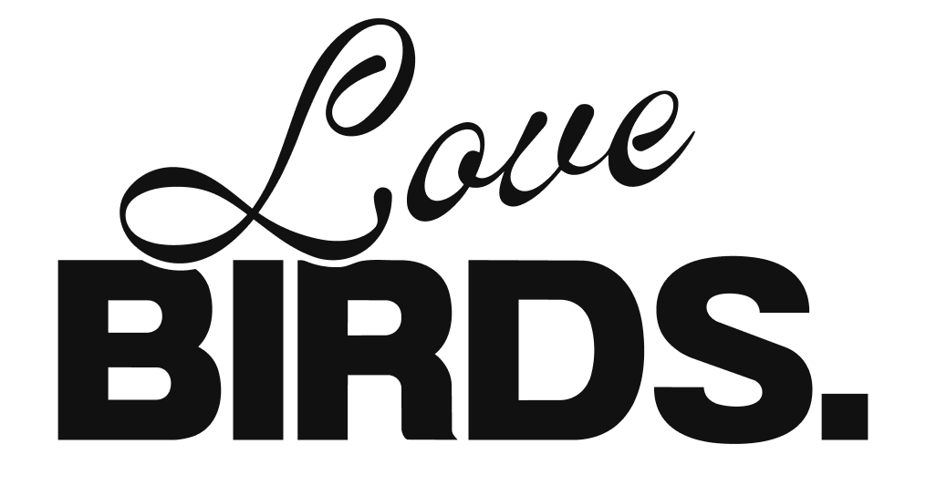Love Birds Logo